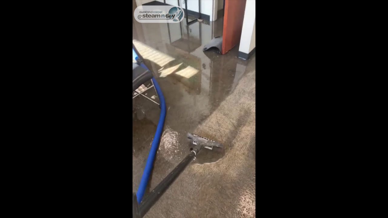 Amazing Powerful Extracting Flood Water from Carpet - Flood Restoration Auckland. Carpet Drying