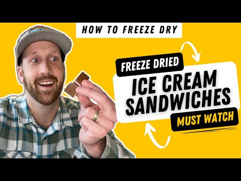 How to Freeze Dry Ice Cream Sandwiches | Quick How-To Guide | Settings | Freeze Dried Business