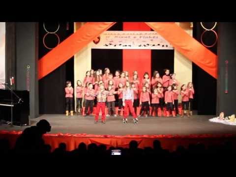 Arba & Blin Bicurri - 100 vjet pavarësi (Official Video HD)