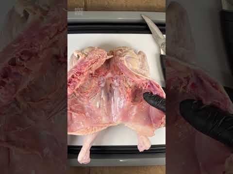 How to Spatchcock a Chicken