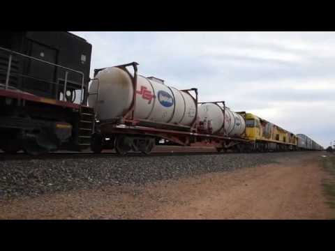 SCT  1PM9 SCT008 6024 6021