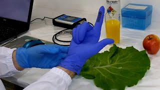 Ciência SP | Luva detecta pesticidas em alimentos