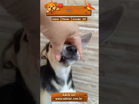 Vídeo de nina