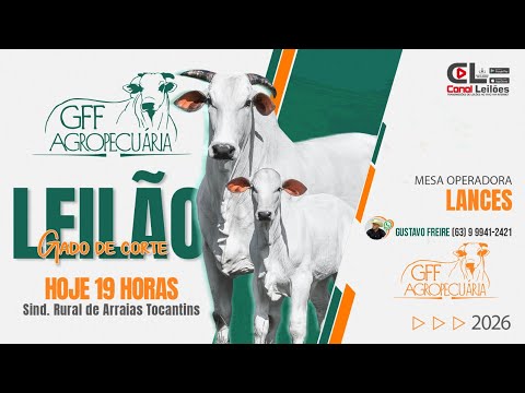 GRANDE LEILÃO DE GADO DE CORTE GFF AGROPECUÁRIA & LEILÕES | ARRAIAS-TO 24/03/2026