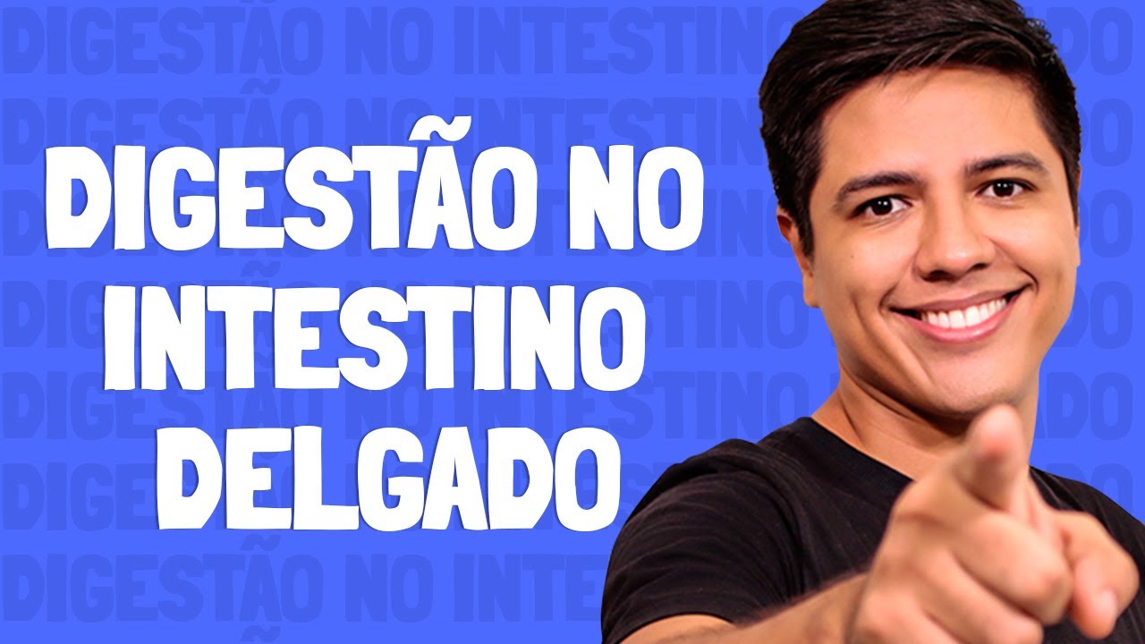 Digestão no Intestino Delgado - Prof. Kennedy Ramos.