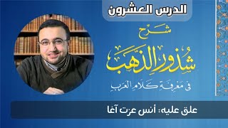 صورة الدرس العشرون من شرح شذور الذهب - أنس عزت آغا