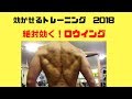 広背筋下部の効かせ方　効かせるトレーニング2018　No 14