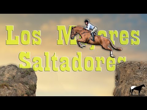 , title : 'Las 10 Mejores RAZAS De Caballos De SALTO 🐴-Del Cerro Soy'
