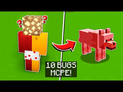 ✔️ 10 BUGS & GLITCHES do MCPE // (Minecraft Bedrock, Xbox, PS4, Switch, Windows 10)