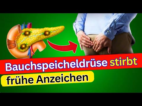 Das stille Gift in dir: Warum du deine Bauchspeicheldrüse im Auge behalten musst!