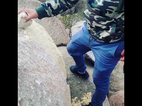 "Piedra Campana"   (Guanaqueros)