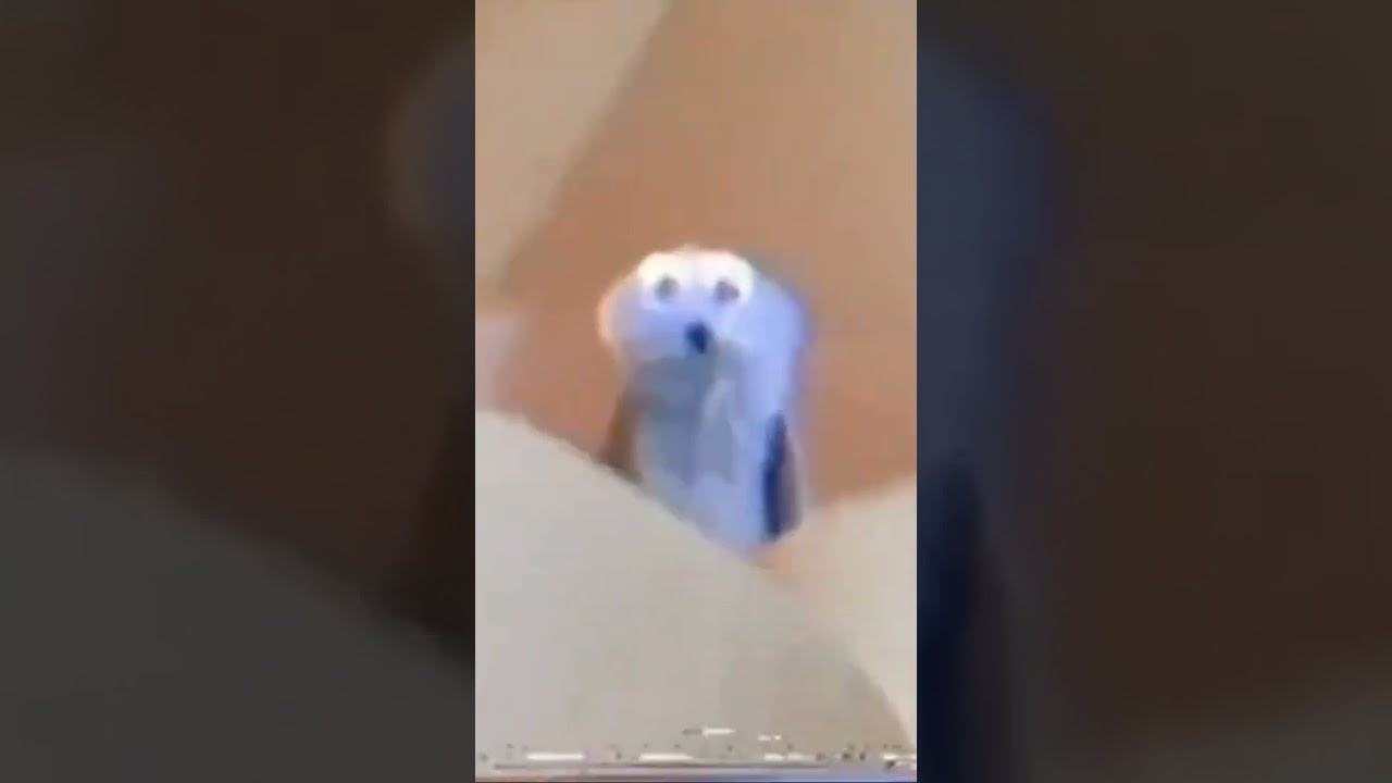 Aughhh meme white puppet marshmallows #meme #memes #shorts