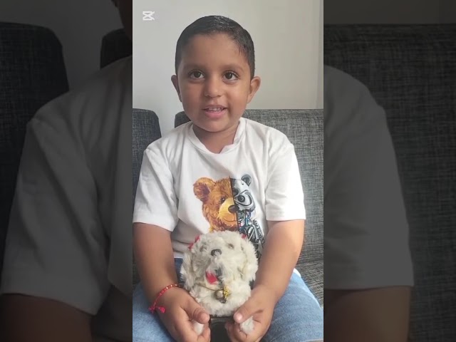 Video 11