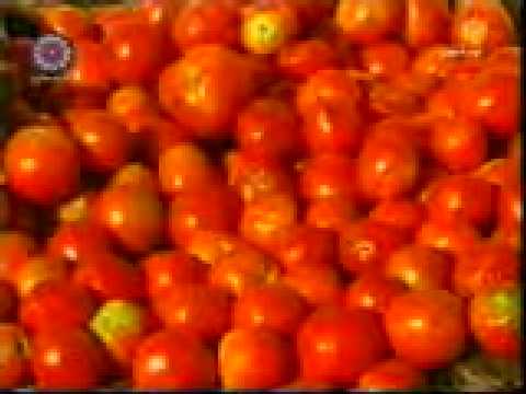 Abdullah3A’s Video 5118452458 XCshfiPvEus