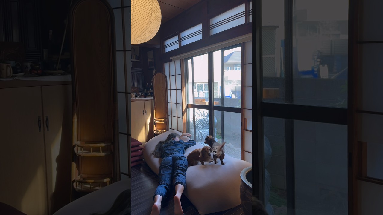 おばあちゃん家、そろそろ片付けなきゃ。