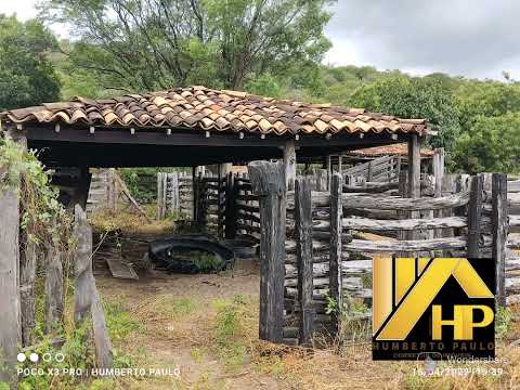 Excelente oportunidade