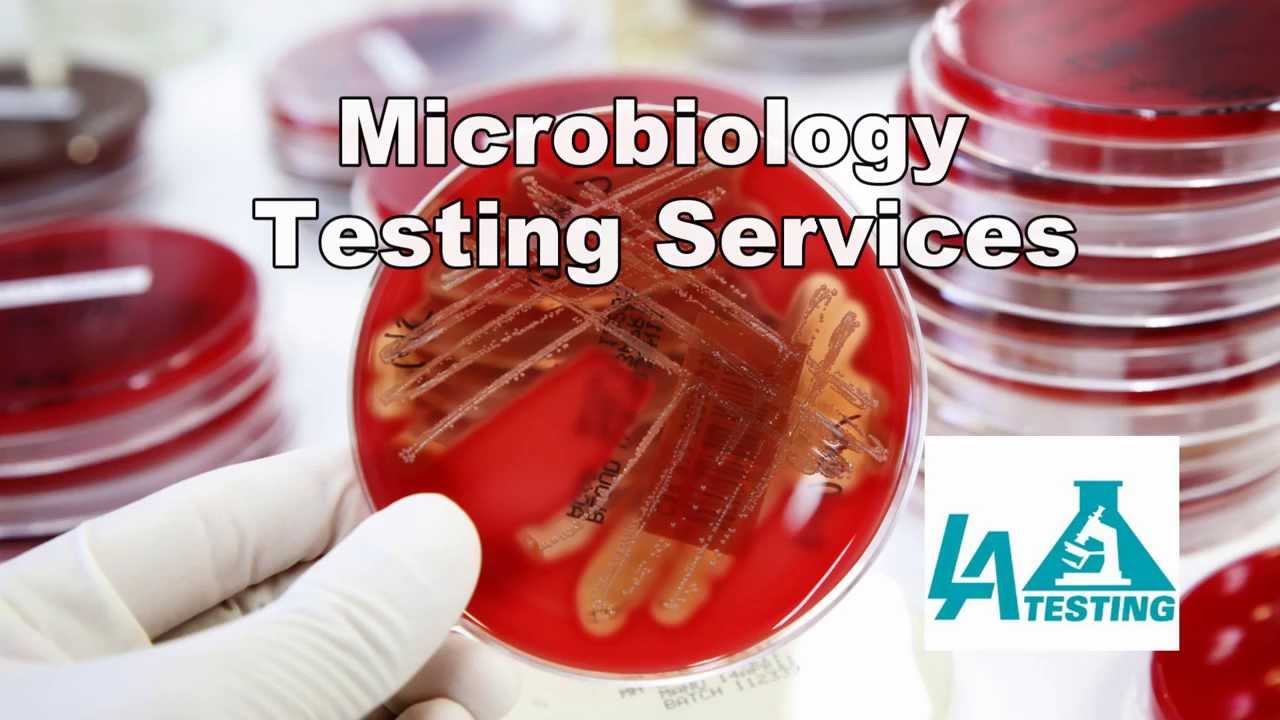 Microbiology Testing Services by LA Testing