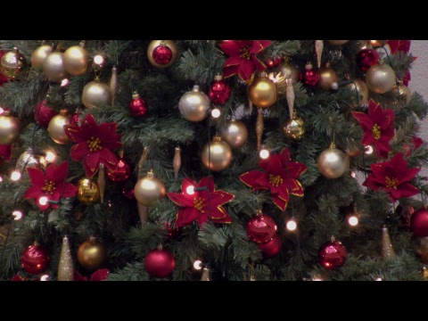 16.12.18 AM | D. Maxwell - "Nașterea lui Isus: Perspectiva cerului" - Ioan 1:1-18