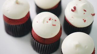 레드벨벳 컵케이크 만들기 Red Velvet Cupcakes Recipe | 한세 HANSE