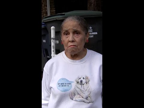 Neighbor of Rep. Omar calls federal search of her home 'stupid'