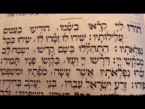 Davening 1 Hodu With English Translation - Tefilas Sharcharis - תפילה 1 הודו – שחרית
