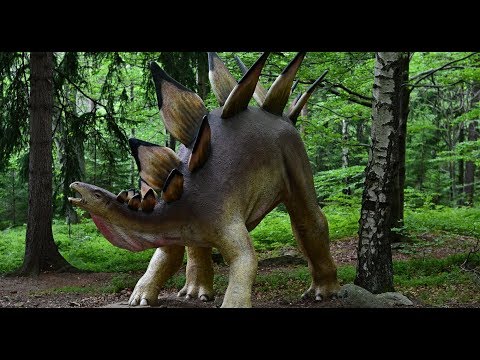 The Isle Как достать реплей и оформить репорт, вас убили с нарушением правил тогда вам Сюда