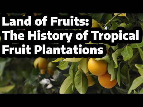 Land of Fruits: The History of Tropical Fruit Plantations