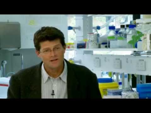 Ramaciotti Medalist 2010: Professor Chris Goodnow | Perpetual Private