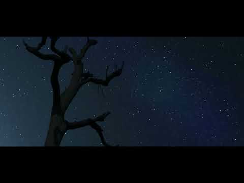 Rural Tourism Trailer