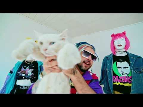 Bacondo - 2 Girls 1 Cat (Cuarentena Video) Guaracha/Zapateo/Aleteo