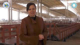 Онлайн лекция. Городище Тараз