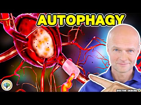 , title : 'What Is Autophagy? 8 Amazing Benefits Of Fasting That Will Save Your Life'