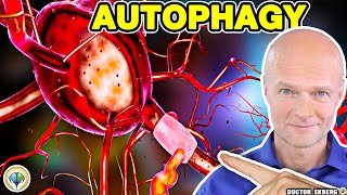 Video : China : Autophagy and it's importance for health