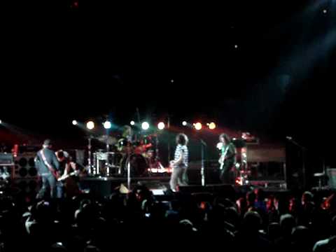 Pearl Jam - Animal 5/17/2010 Boston, MA