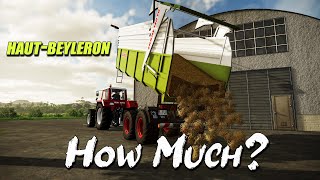 How Much Money did I Make | Cheeky | Farming Simulator 22 | Haut-Beyleron | Episode 16
