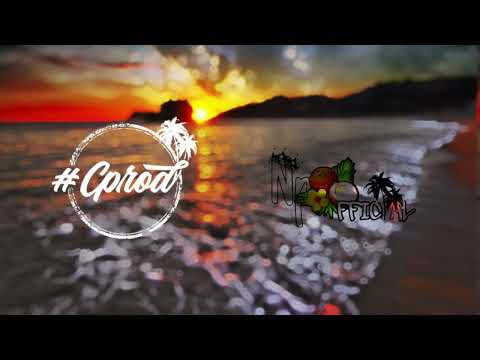 CLARII PRODUCTION & NP OFFICIAL_SHENSEEA - HIT AND RUN [ REMIXX 2024 ]