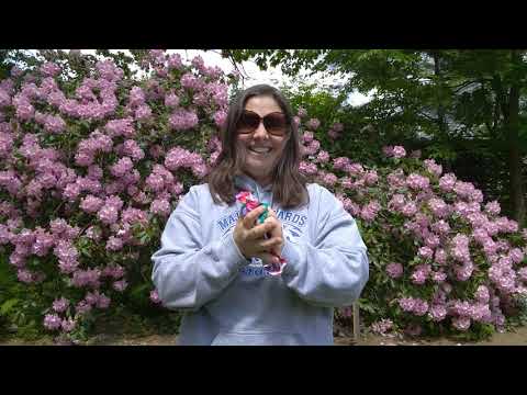 Happy Summer Major Edwards