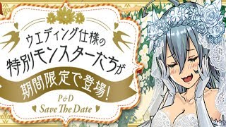 [퍼즈도라 토크] 6월의 신부 제라 등장! 준 브라이드 시즌 알아보기