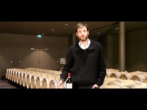 Château Fleur Cardinal, Vintage 2021