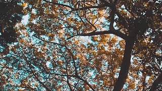 Download lagu Story WA terbaru | Status WA keren | Yang Terdalam | cinematic mp3 Download lagu Story WA terbaru | Status WA keren | Yang Terdalam | cinematic mp3