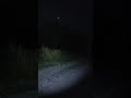 Florida Weird Night Noises