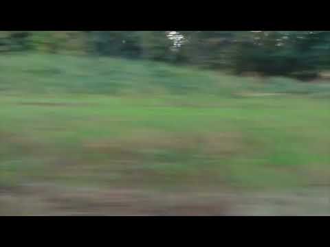 Die Mitfahrt in der S-Bahn MD S4 Markkleeberg Gaschwitz- Lauta (NI) (Teil3) L-Heiterblick- Eilenburg