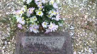 Jim Reeves Emotional I'll Fly Away