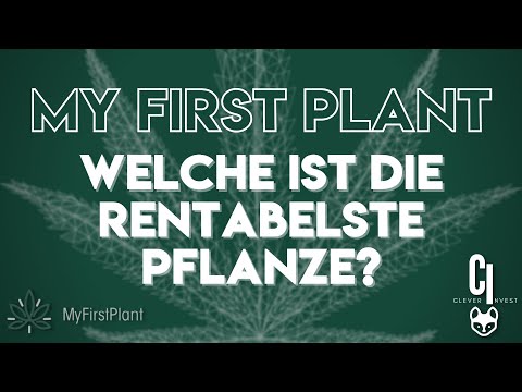 , title : 'MY FIRST PLANT - Welche ist die rentabelste Pflanze?'