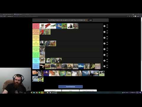 Animals I Could Beat In A Fight Tier list!