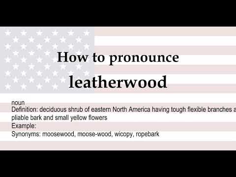 How to pronounce 'leatherwood' + meaning