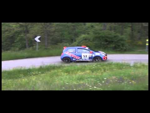 Rally Taro 2014 PS 1 Bardi  Battilani-Cerlini Renault Twingo R2B
