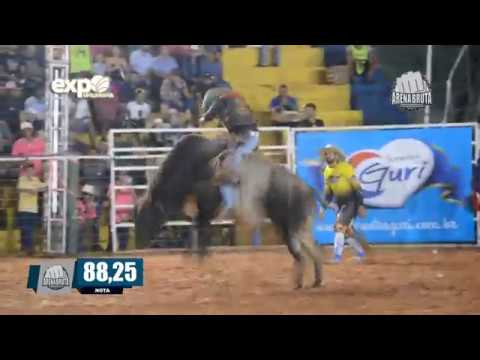 Rodeio de Umuarama-PR 2019 - SEGUNDA FEIRA | CLASSIFICATÓRIA