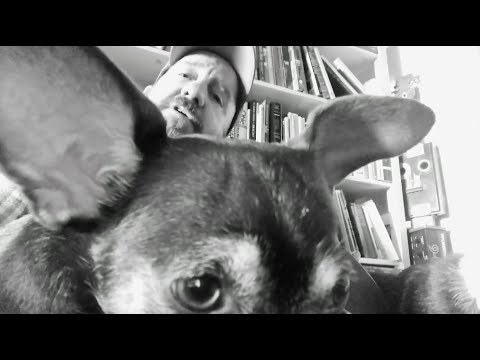 Q&A With Stephin Merritt (Magnetic Fields)