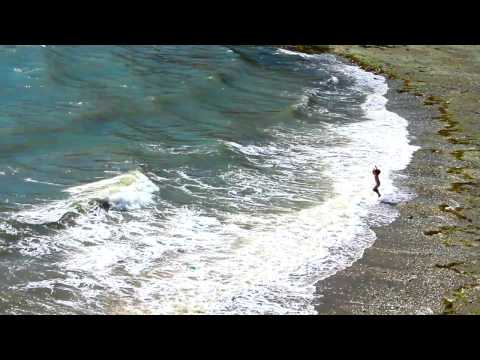 Chalupski - Symbiosis? (Music Video)